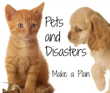 Preparedness Makes Sense for Pet Owners - Pets and disasters.  Make a Plan.